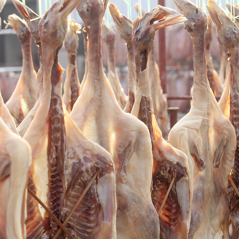 Huong Lake Spiced board duck Home Yao Air-dried Preserved Salty Duck Local Earth Duck Whole 650 gr Vacuum Courtesy Boxed Tradition