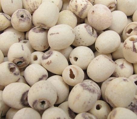 Hunan Xiangtan Xianglian lotus seeds peeled and cored white lotus seeds inch three lotus 500g sweet powder glutinous 1 catties microdermabrasion lotus seeds