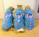 Большая одежда для собак золотисто -ретривер Самои с собаками собаки собаки осень и зимняя хлопчатобумажная одежда новая бесплатная доставка милая