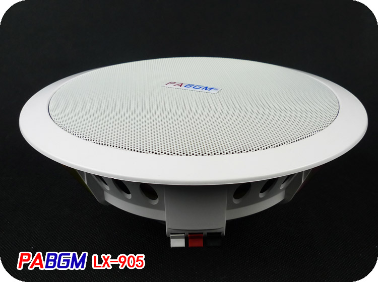 German PABGM 8 inch ceiling speaker 10 20W constant pressure ceiling speaker opening 200mm