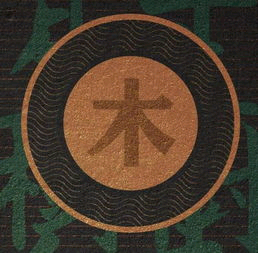菩提籽佛珠
