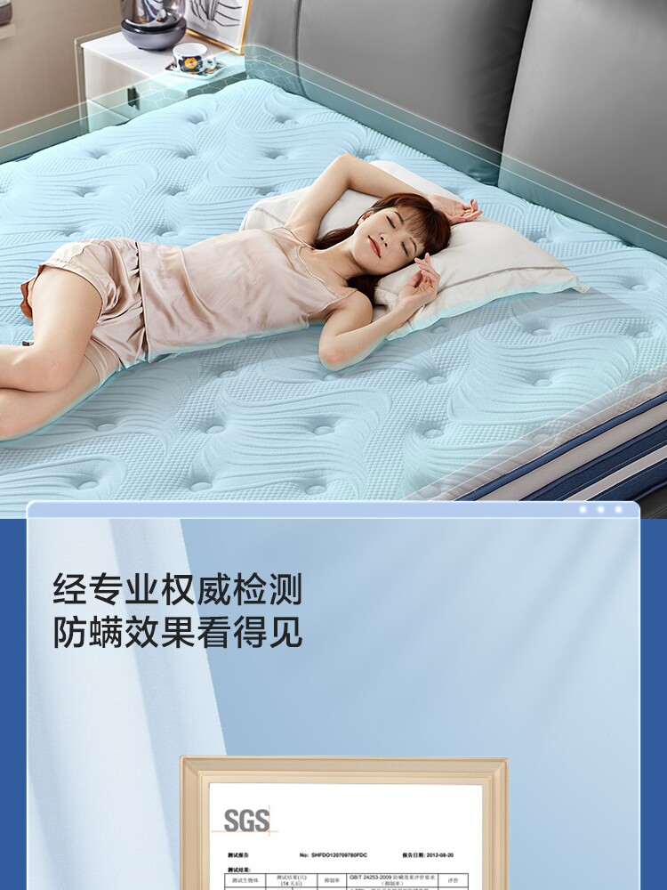 CD115A Группо-товарный характер 750-Matress CD115B_08.jpg