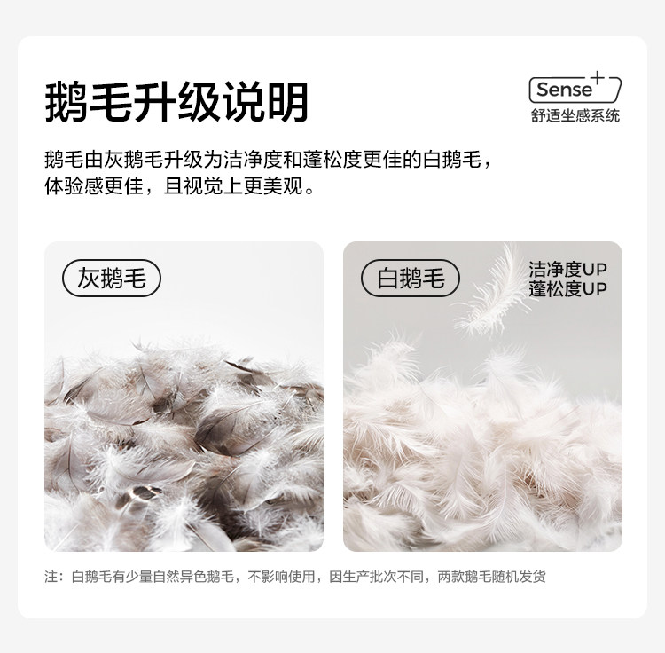 Goosemad заполняет случайные подробности публичных изданий 750.jpg