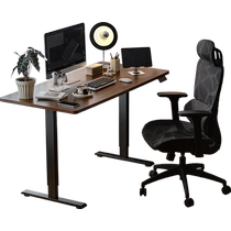 Lins Home Computer Desk Dual Motor Electric Lift Table Legs Workbench Office Desk Study Desk and Chair