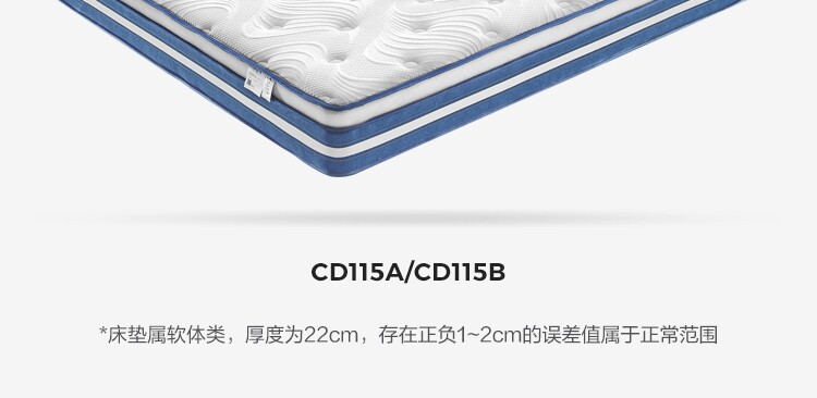 CD115A Группо-товарный характер 750-Matress CD115B_26.jpg