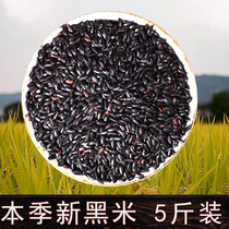 Authentic new black rice Black fragrant rice Black rice Northeast farmer grains black rice porridge black glutinous rice whole grains 5 pounds