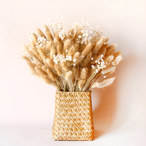  Natural dog tail grass Rabbit tail grass Dried bouquet immortal flower decoration decoration Jewelry Photography shooting props Real flower