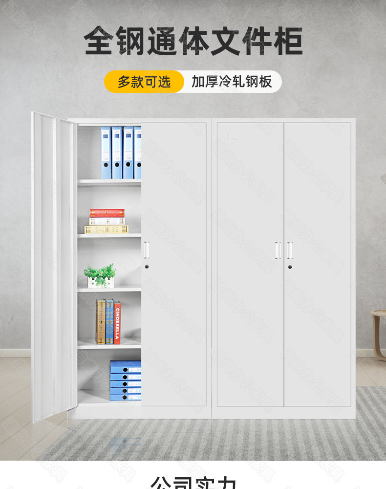 通体对开门档案柜文件柜办公资料柜物资存放柜财务会计凭证 通体对开门档案柜文件柜办公资料柜物资存放柜财务会计凭证