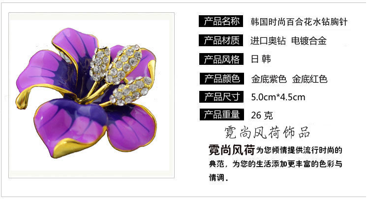 Broche femme en Zircon diamant - Ref 1178087 Image 8