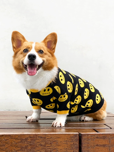 Корги собачья одежда осень и зимняя одежда тепло и толстый свитер. Маленький и средний собачий