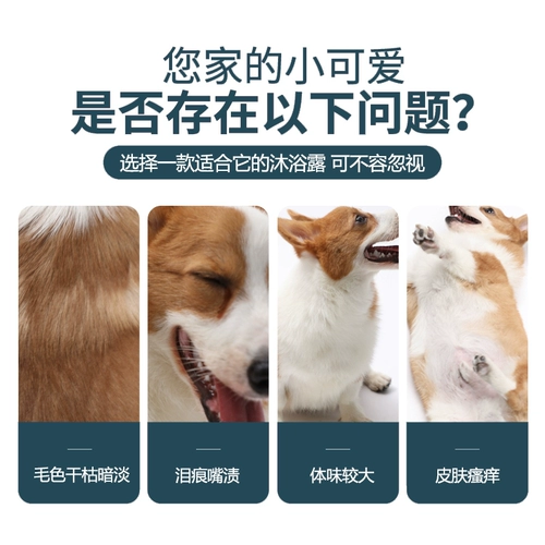 Yu Oriental Mori Dog Dog купается от Bybinum и защитная купание Shiba inu bi kuki product