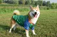 Nhãn hiệu trang phục chó thủy thủ mùa thu mới áo khoác bóng chày chó Shiba Inu Keji Husky quần áo chó - Quần áo & phụ kiện thú cưng