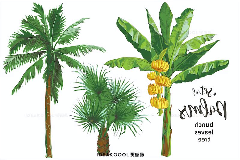 AI矢量秋季树木绿植物叶子丨