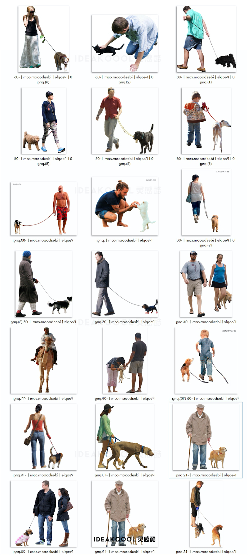 免扣丨遛狗逗猫人物丨