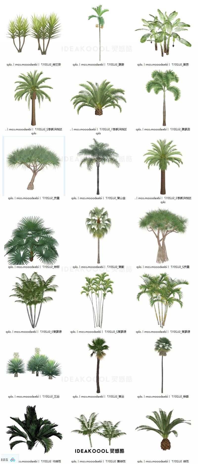 3D三维丨棕榈热带树芭蕉海枣美人蕉景观植物SU模型丨