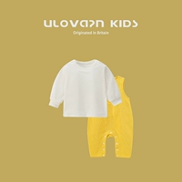 MD-M2370-Yellow