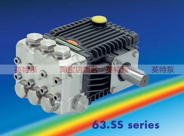 Italian Inte INTERPUMP63 SS Series 316L Full stainless steel high-pressure plunger pump SSE1413-Taobao