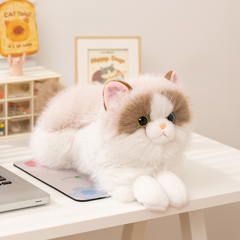 Cute Realistic Plush Siamese Ragdoll Cat Doll That Meows, Sleeps, and Can Be Hugged as a Birthday Gift for a Girlfriend or Female Friend Cute Realistic Plush Siamese Ragdoll Cat Doll That Meows, Sleeps, and Can Be Hugged as a Birthday Gift for a Girlfriend or Female Friend