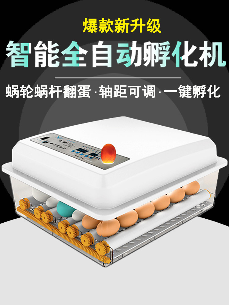 Two-team hatching machine Automatic small household water bed hatcher Peacock duck goose household egg incubator