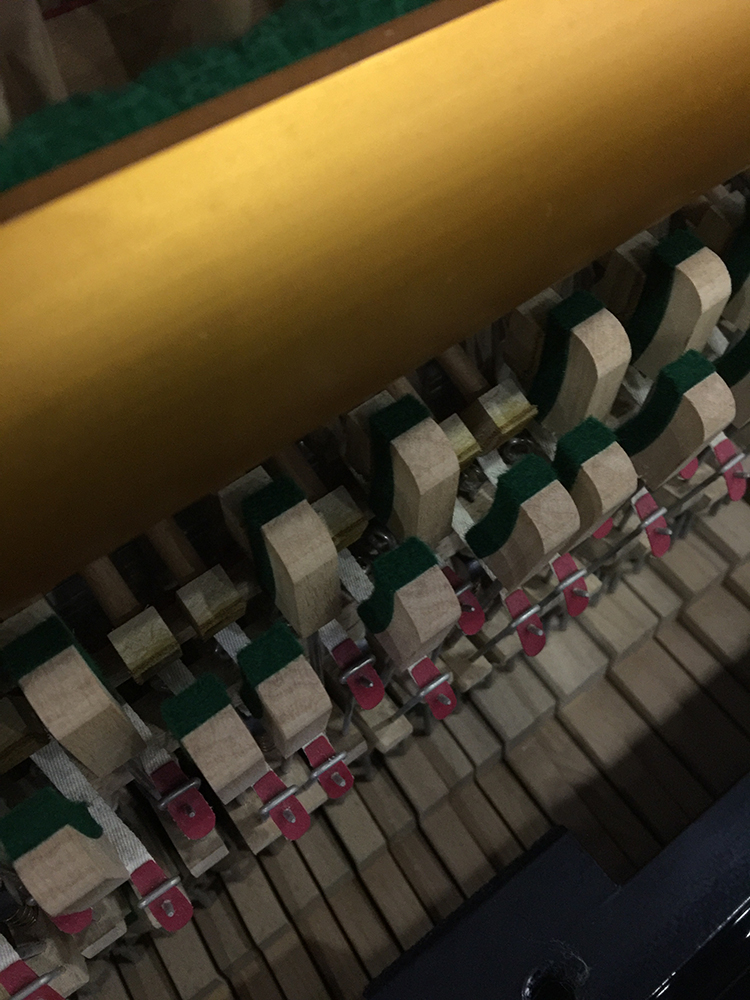 Đàn piano thời trung cổ Nhật Bản APOLLO Apollo SR85B dọc nhà màu đen chuyên nghiệp chơi phòng hòa nhạc - dương cầm 	giá 1 chiếc đàn piano	