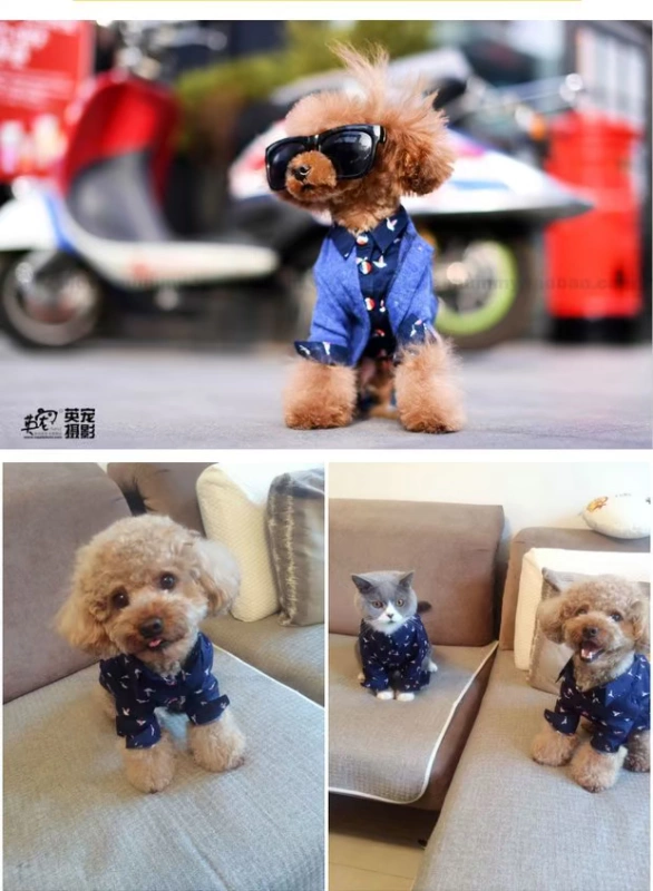 Breguet Pet Quần áo Teddy Schnauzer Wild Nhật Bản dài tay Bird Cotton Royal Blue Áo - Quần áo & phụ kiện thú cưng