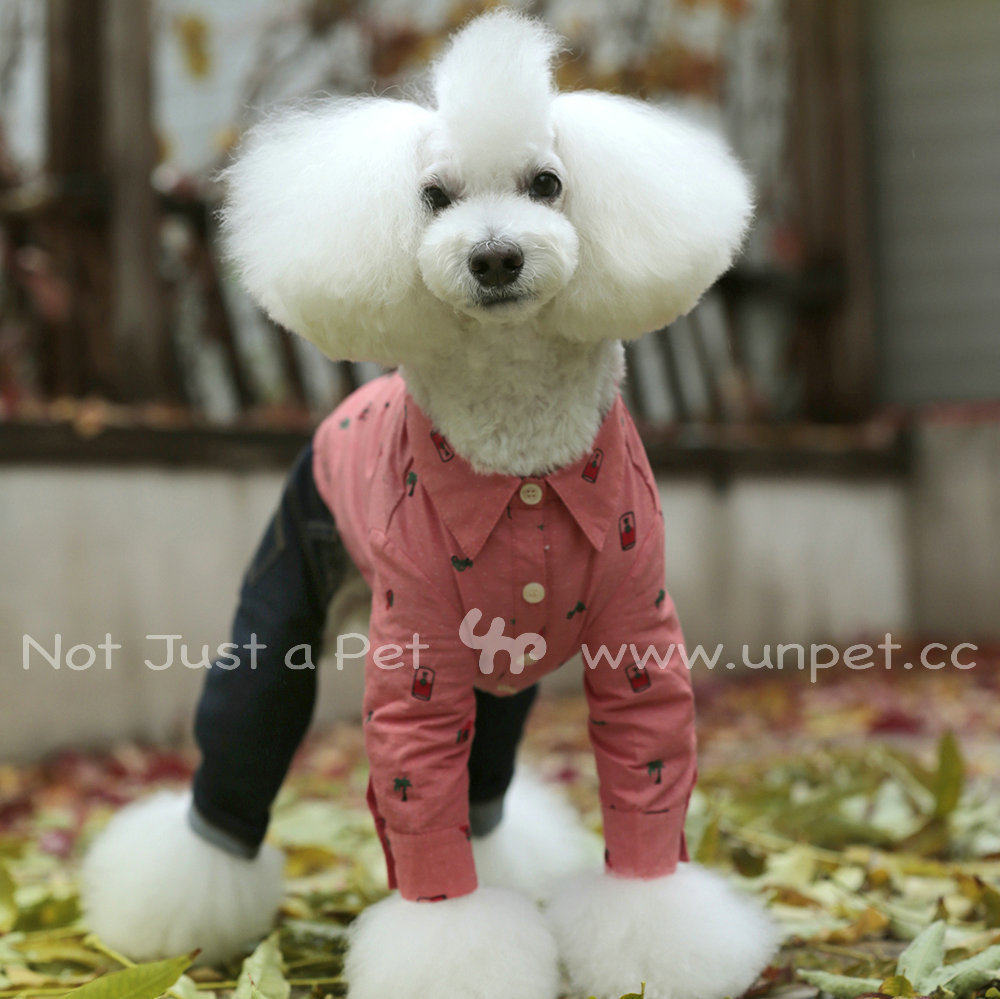 2020 Sharppel Dependents Pet Cat dog clothes Inn clear Pink Orange Small Things Blouse Pure Cotton Long Sleeve Thin shirt