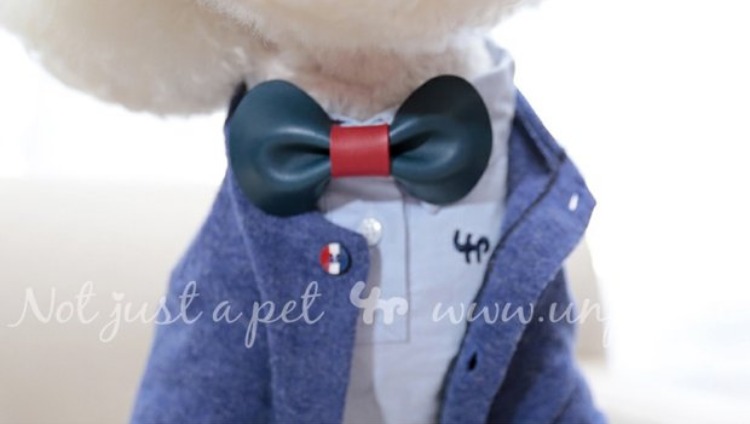 người phụ thuộc kho báu nóng vật nuôi quần áo quần áo Teddy Bichon quanh cổ áo len dài tay màu xanh áo nịt áo khoác chó Hàn Quốc - Quần áo & phụ kiện thú cưng nón cho mèo