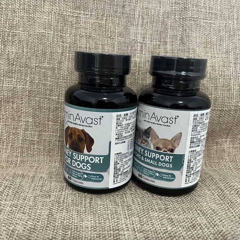 In-Stock American Amine Kidney Medicine for Cats with Kidney Failure, Chronic Kidney Failure, and Kidney Damage in Cats and Dogs