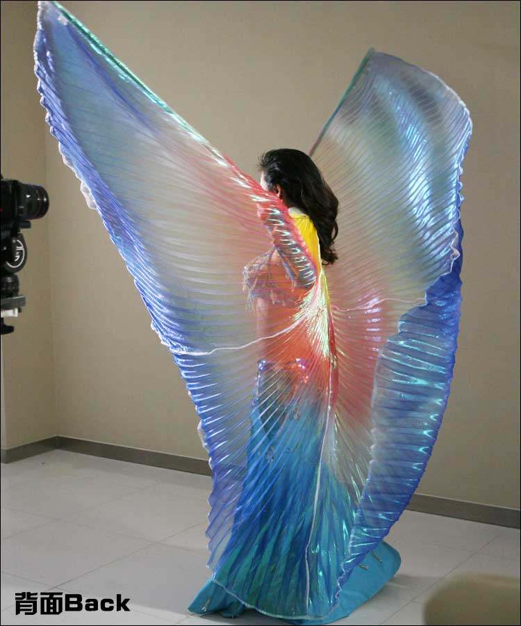 Belly dance Golden Wings Props 3 Color wings Adult Performance Wings Dance Suit 360 Degrees Color Wings