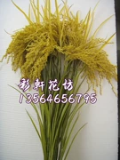 Mua 10 đến 2, 20 đến 5, mô phỏng gạo, mô phỏng gạo, hoa tai giả, hoa tai nhựa - Hoa nhân tạo / Cây / Trái cây