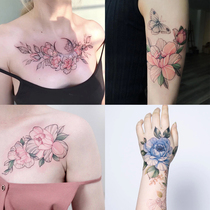 Beautiful color plain flower chest shoulder flower tattoo sticker waterproof female lasting simulation sexy cute Korean Japanese collarbone