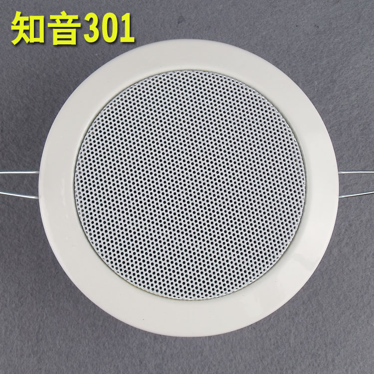 Home Background Music System Suction Top Horn 3 Inch Full Frequency Cylinder Lamp Type Suction Top Speaker Ceiling Small Horn