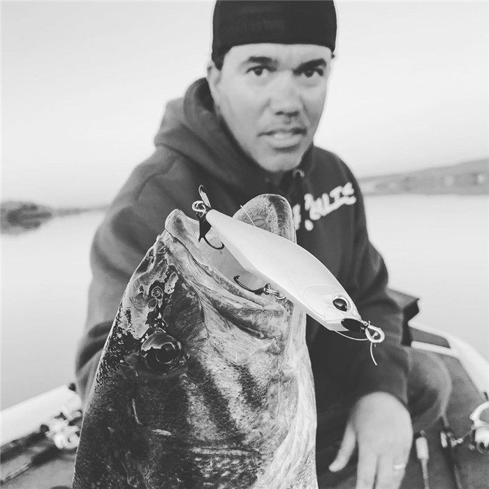 Дорожные суб- приманки 鏃ユ湰杩涘彛duo璺簹楗?0鍏婻ealis spinbait62 72 15鍏嬭灪鏃嬫〃楗甸棿璋嶉サ