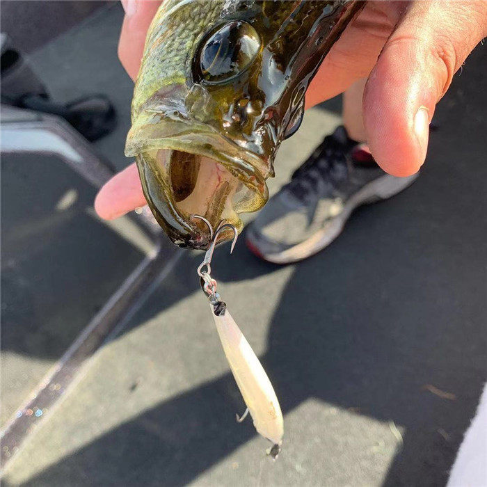 Дорожные суб- приманки 鏃ユ湰杩涘彛duo璺簹楗?0鍏婻ealis spinbait62 72 15鍏嬭灪鏃嬫〃楗甸棿璋嶉サ