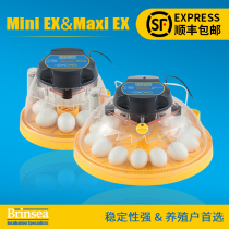 Brinsea Large Saucer Small Flying Saucer Incubators Low Cost High-quality Stability Strong Breeding House Preferred