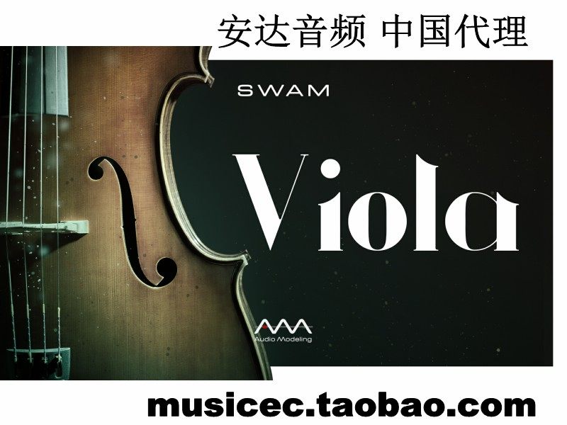 Audio Modelling Physical Modeling The Viola in Viola in Viola