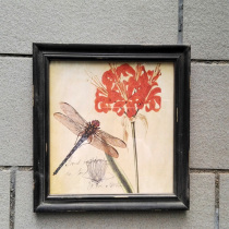 Nordic style Insect series Dragonfly prints Aisle wall decoration painting Study living room Modern decoration painting