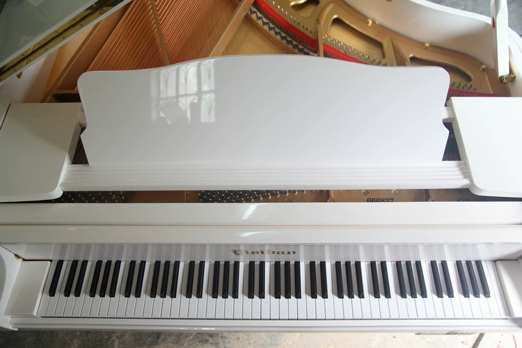 Phong cách thanh lịch 231 grand piano ngang piano! Nhà máy sản xuất đàn piano mười năm tuổi là đáng tin cậy piano dien