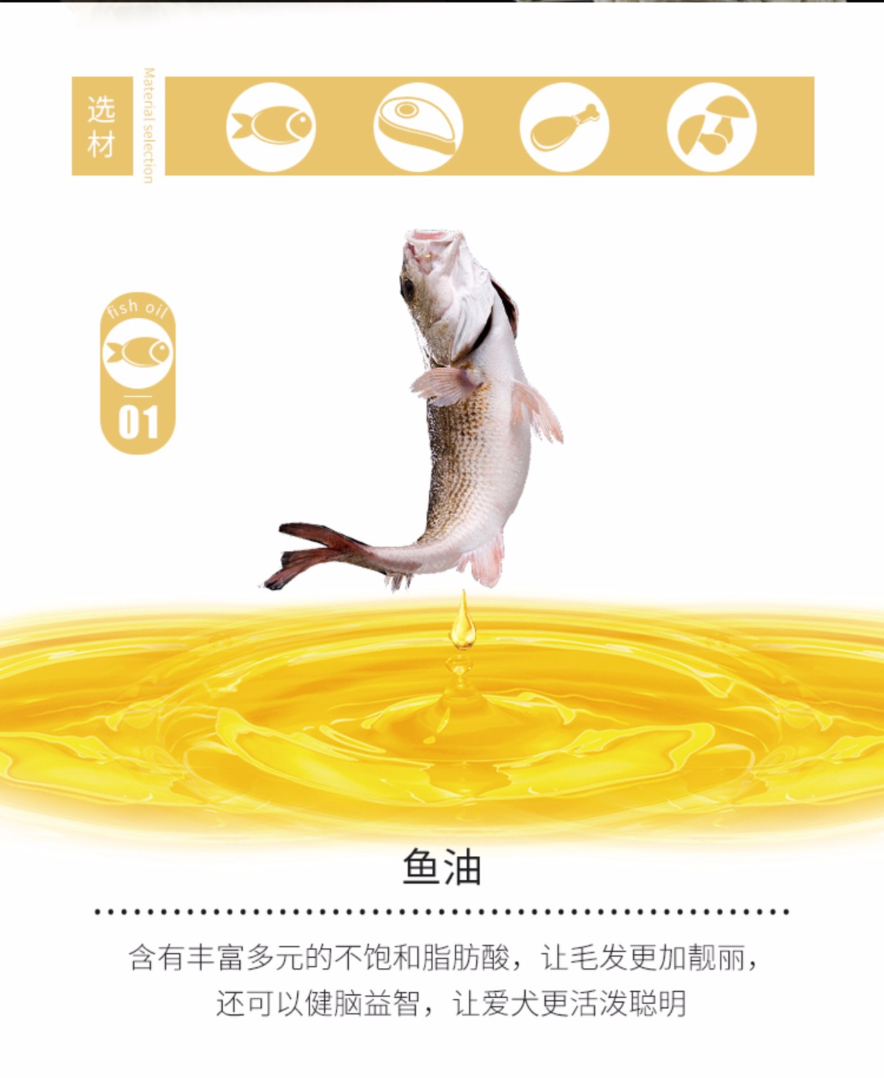 Xác thực nấm gà cốm chó trung bình chó trưởng thành thực phẩm chủ yếu thức ăn cho chó thức ăn labrador số lượng lớn thức ăn vật nuôi hạt catsrang