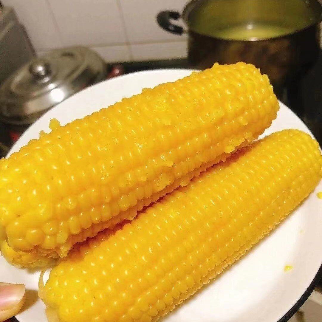 Heilongjiang Vacuum Yellow Waxy Corn 10pcs 6kg slightly old and chewy about 290-300g