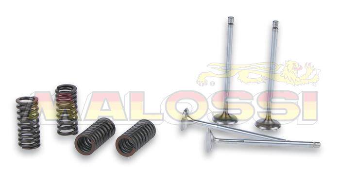 Malossi valve spring Girella runner 200 valve spring modified imported from Italy