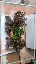 Fish tank package Full set Rockery small ornaments Decorative set Shenmu landscape Ecological grass tank Water plant tank