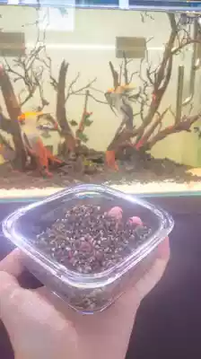 Fish tank bottom sand landscaping sand decoration stone paving bottom stone coral rainforest sand sand bottom sand white sand fine sand rockery