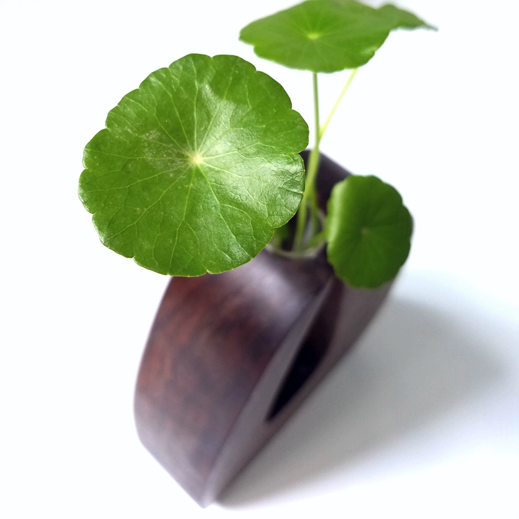 Wal 花 器 组 [青 螺 工坊] Black Walnut lọ hoa sáng tạo gỗ hoa đứng nghệ thuật bình thủy tinh chậu nhựa dài