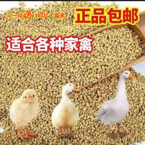 Manufacturer 20 kilograms of large bag of small chicken feed chick feed chicken feed chicken duck goose feed octopus grain fish stock