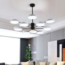 Living room headlights Atmospheric simple modern creative personality Nordic chandelier black and white gray Master bedroom dining room shop lighting