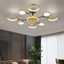 Light luxury Nordic living room ceiling chandelier Modern simple atmosphere high-end creative master bedroom lights Net red household lamps