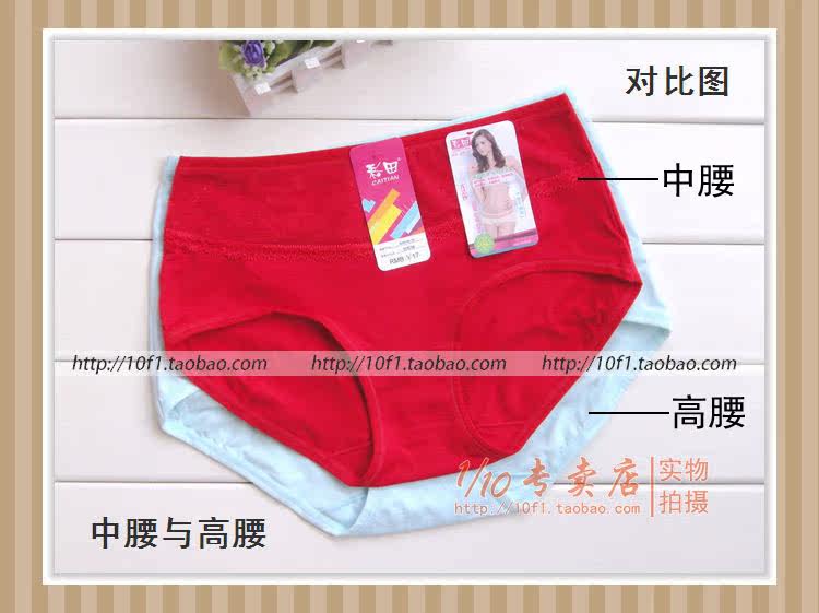 Slip 836_837 en coton - Ref 641208 Image 30