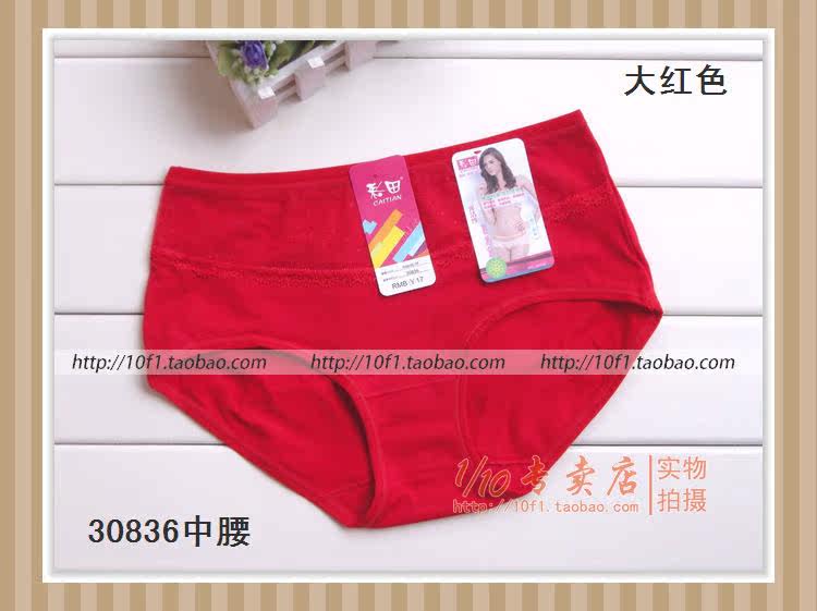 Slip 836_837 en coton - Ref 641208 Image 37