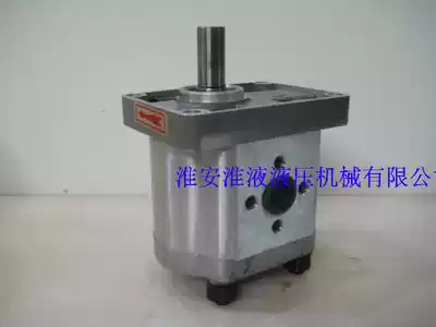 CBN-F310-CLP gear pump 18 shaft